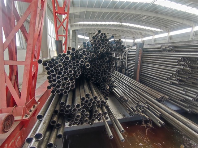 IMG_20230401_141721.jpg IMG_20230401_141721.jpg