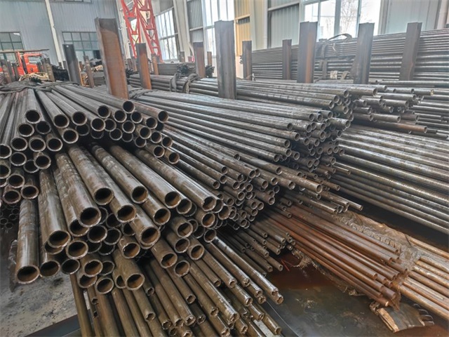 IMG_20230401_144019.jpg IMG_20230401_144019.jpg