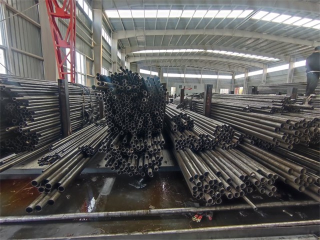 IMG_20230401_141253.jpg IMG_20230401_141253.jpg