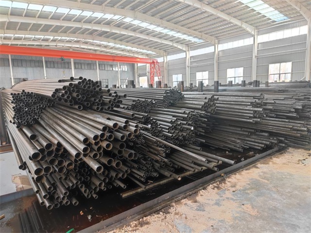 IMG_20230401_103030.jpg IMG_20230401_103030.jpg