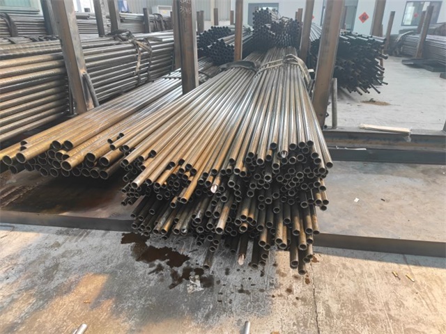 IMG_20230401_143926.jpg IMG_20230401_143926.jpg